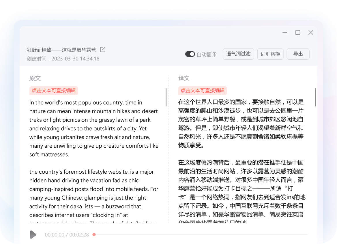 Word document with side translation panel